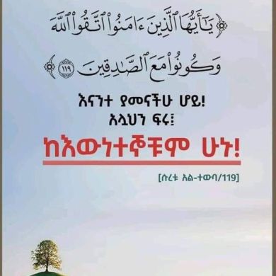 TEWFIK GEREMU Profile Picture