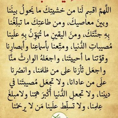 seid abdu Profile Picture