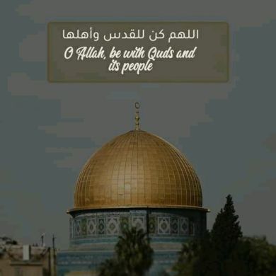 sumi TALIBEL ELM Profile Picture