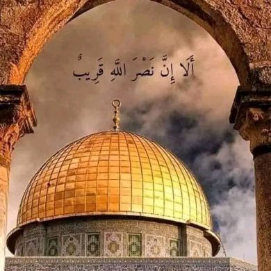 Alif mohammed Mohammed Profile Picture