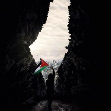 محمد بن محمود Profile Picture