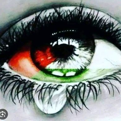 فاتحه محمد profile picture