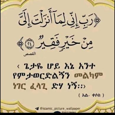 kasim abdela Profile Picture