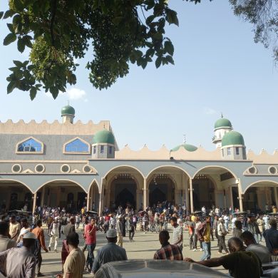 ibrahim mohamed Profile Picture