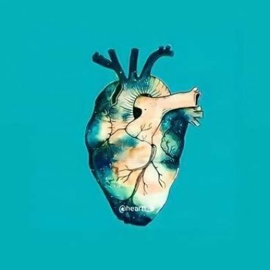 SEID shimelash Profile Picture