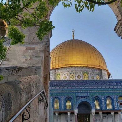 البؤ سآء Profile Picture