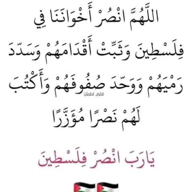 zeyneba hamza Profile Picture