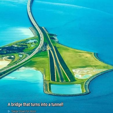 jafer dilgeba Profile Picture