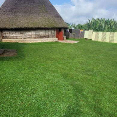 Abu Umer Nesru Profile Picture