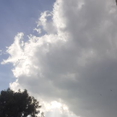 bereket zeinu Profile Picture