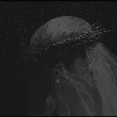 feriel bf Profile Picture