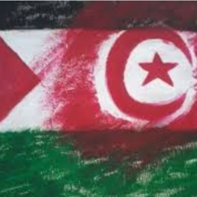 sawssen khalfaoui Profile Picture