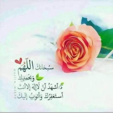 Susu yasein Profile Picture