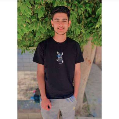 محمد بن أحمد