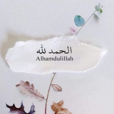 sofia mifta Profile Picture