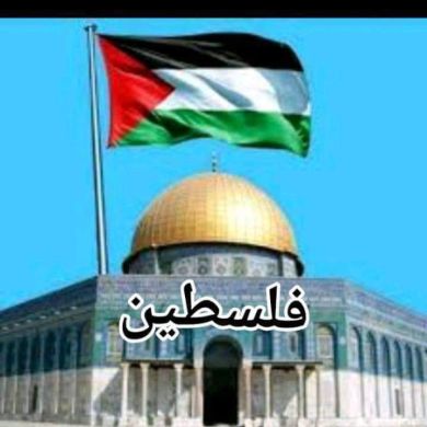 Bnt Mk Bnt Mk Profile Picture