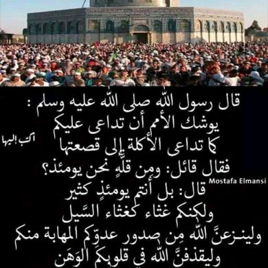 أسامة بوشارب