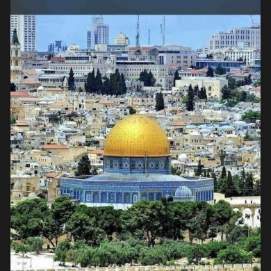 فؤاد ابومدد