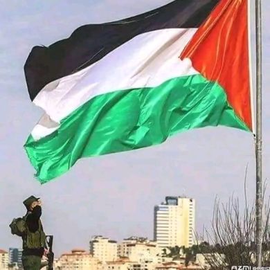 Teleha Muhammed Profile Picture