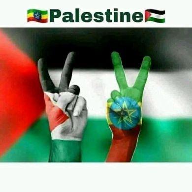 abdibest Profile Picture