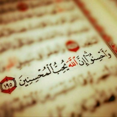 semer shemse Profile Picture