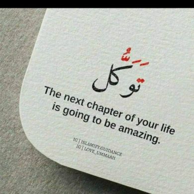 amira yasin Profile Picture