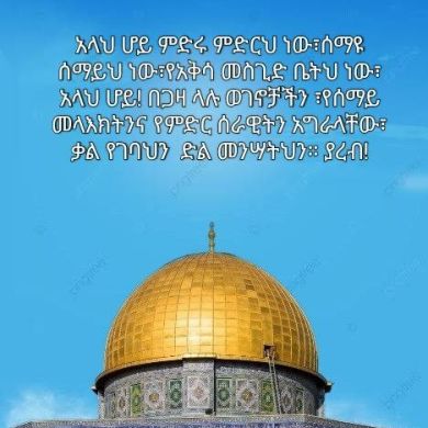 Abdrehim Zerga Profile Picture