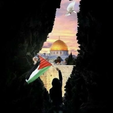 ABU AHMED s Profile Picture