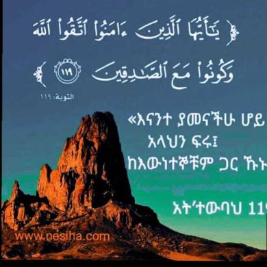 Murad fereg Profile Picture