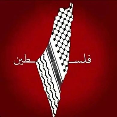 Abdulhay Yasin Profile Picture