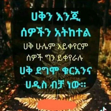 Abuebrahim Abrar Aman Profile Picture