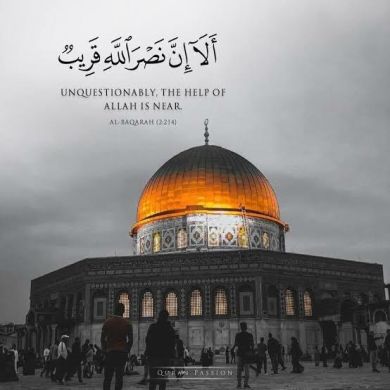 ali abdelghany Profile Picture