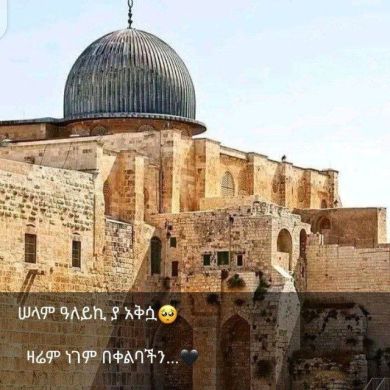 Umu Ahmed Ahmed Profile Picture