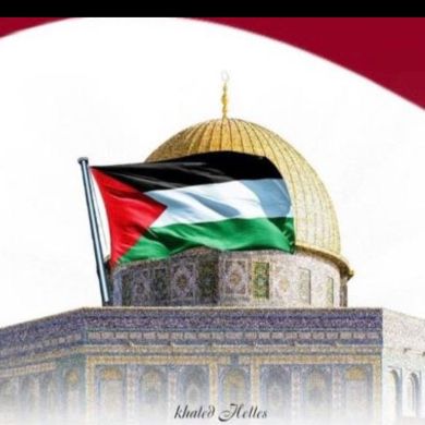 kamil kedir Profile Picture