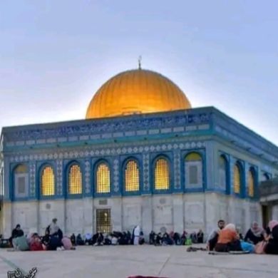 Feysel Kedir Profile Picture