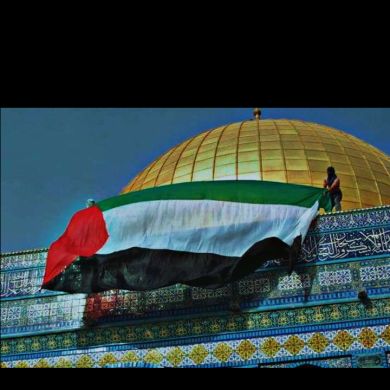 muhammed Hassen Profile Picture