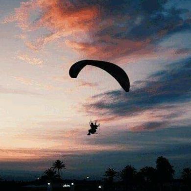 youssef latifi Profile Picture