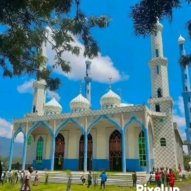 Abdulhakim Musema Profile Picture