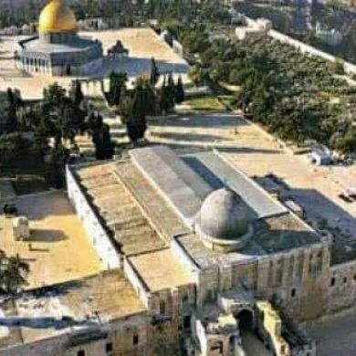 AbuAisha99 Profile Picture