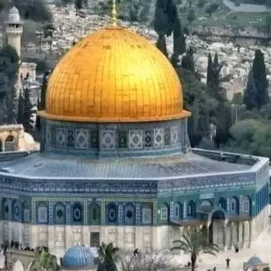 Musema-Ligbo Profile Picture