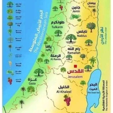 sultan kergeda Profile Picture