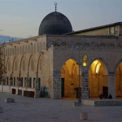 نايرا مصطفى