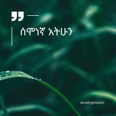 ابو نحلة احمد Profile Picture