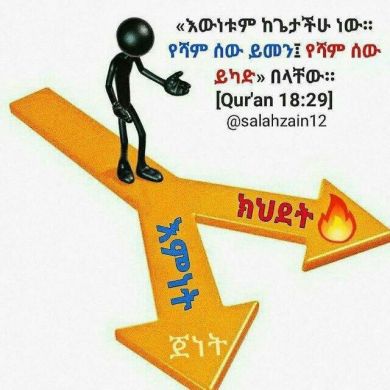 MIFTA STUDENT OF WEHID Profile Picture