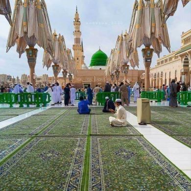 ibnu hassen Profile Picture