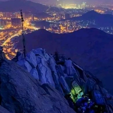 Chahd Zd Profile Picture