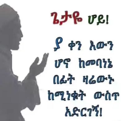 abdul mejid Profile Picture