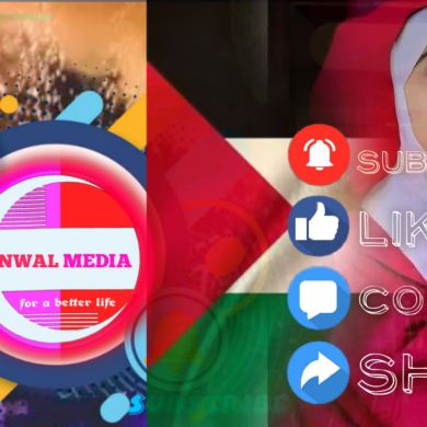 Minwal Media