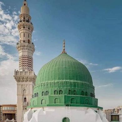 محمد عثمان الدينوني Profile Picture