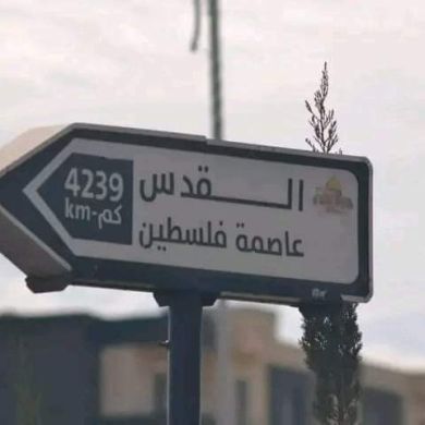 إبراهيم بن علي Profile Picture